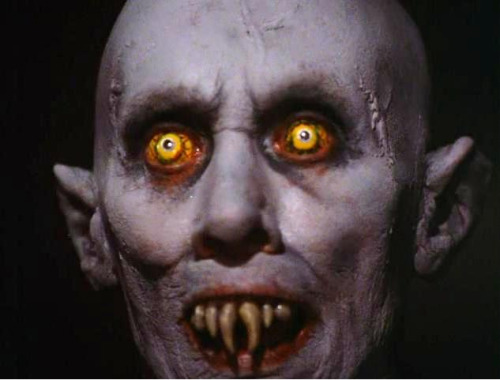 tumblr_lyl3t7EOXe1qdxslwo1_500